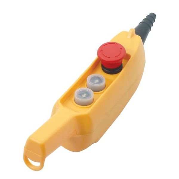 Replacement Remote for 220 Volt 500-1000kg Electric Hoist