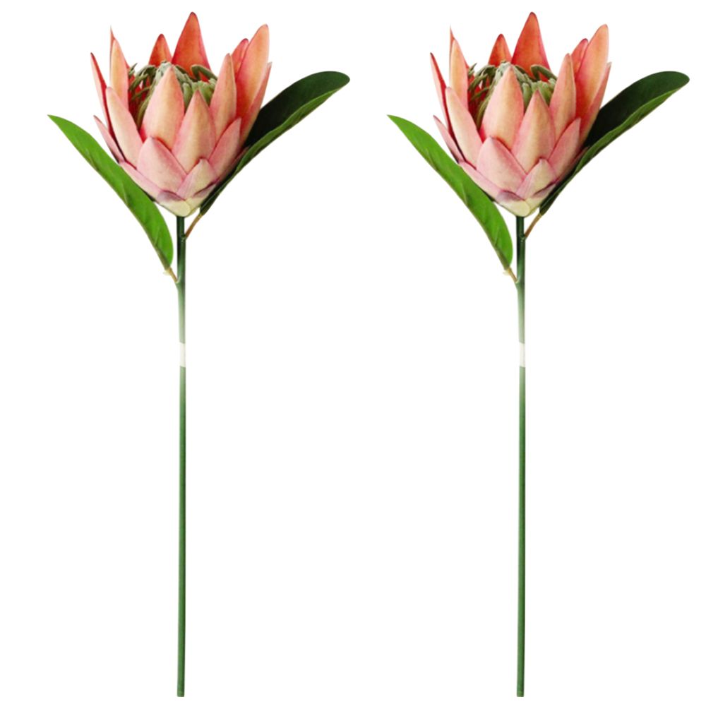 Home Decor Large Artificial African King Protea Flower Set Of 2 (40cm) Shop Today. Get it