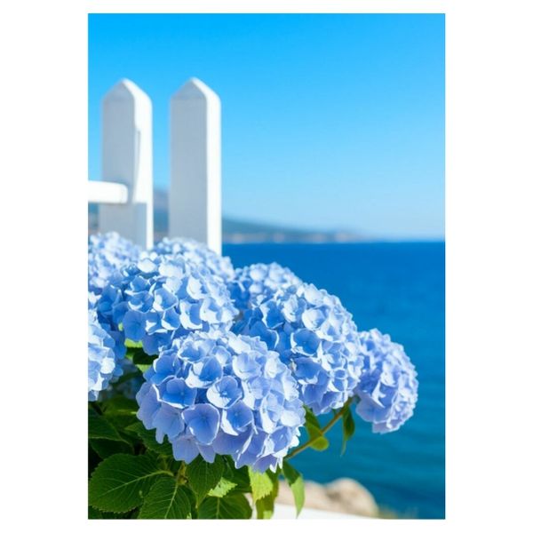 Flower Photography - A1 Poster
