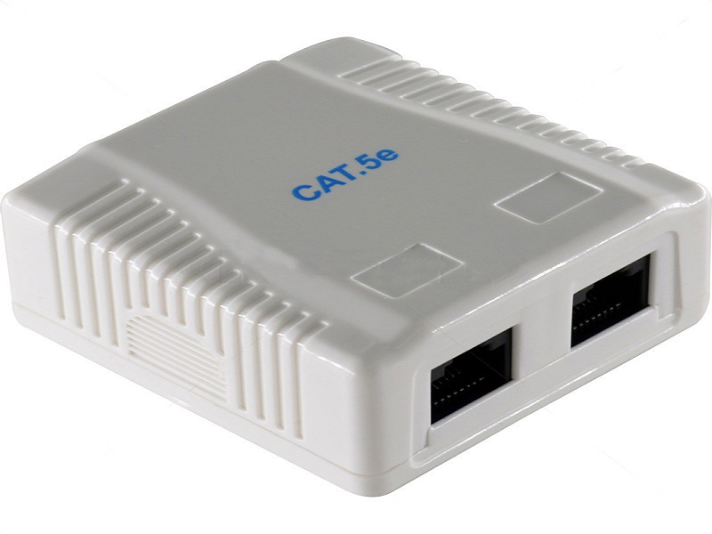 Cattex CAT5E Wall Box- UTP 2 Port