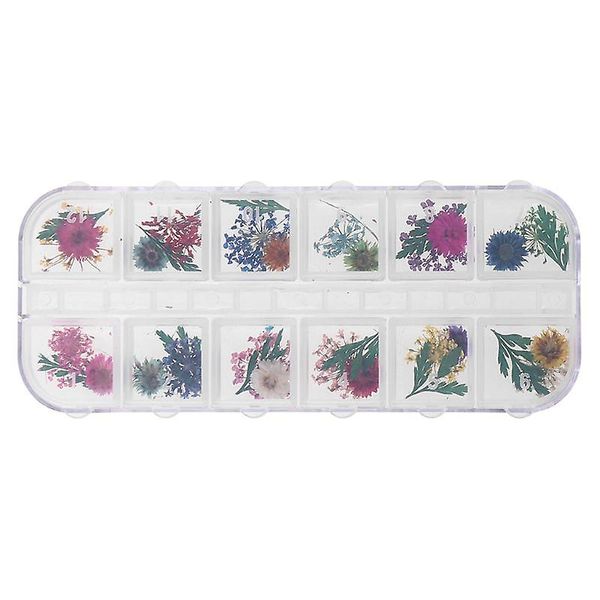 12 Colors Nail Dry Flowers For 3D Nail Art