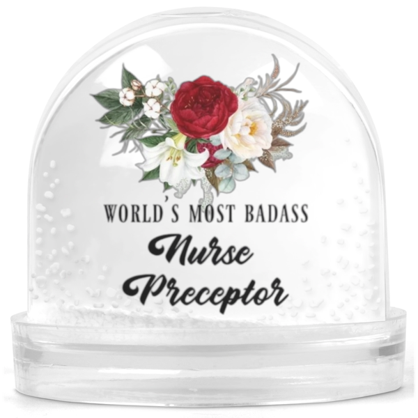 World's Most Badass Nurse Preceptor Gift Snow Globe