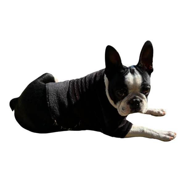 Dog Jersey-2 Pack-Mongolian Fleece-Black
