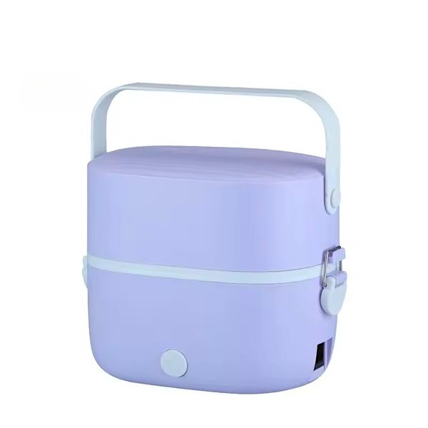 Electric Lunch Box - Double Layer Food Warmer and Portable Steamer