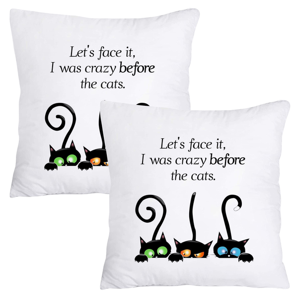 Scatter Cushion Cover Set - Lets face it, it was crazy before the cats