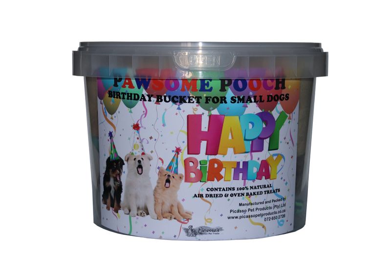 Picasso's - Birthday Bucket for Small Dogs