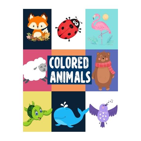 Colored Animals: Fun Color Names & Animal Names Book To Learn The Name of  Animals and Colors at The Same Time | Buy Online in South Africa |  