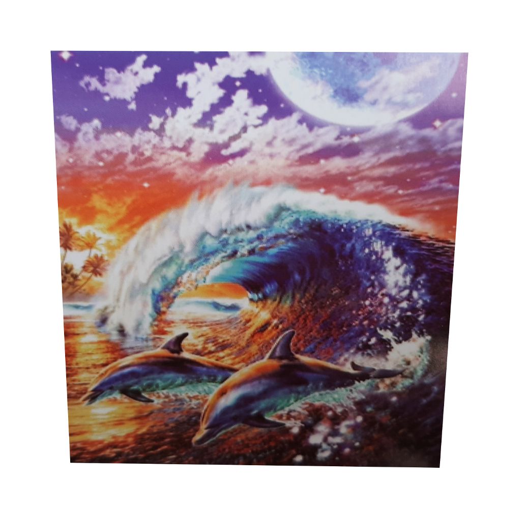 Diamond Dot Art Painting 40x50 Two Dolphins Buy Online in South