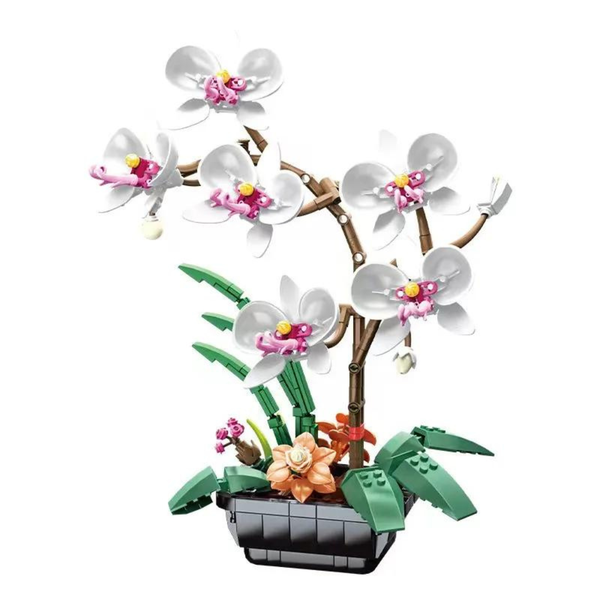 Jaki Botanical Phalaenopsis Potted Orchad Flower Bouquet Building Blocks