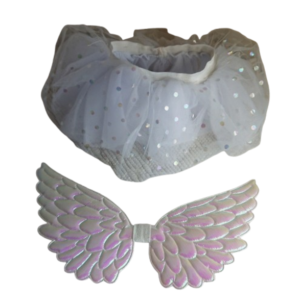 Baby Girl Tutu set with Wings
