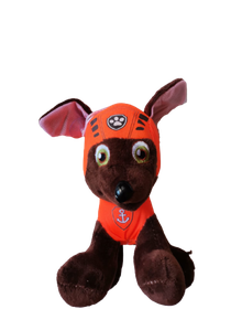 zuma teddy