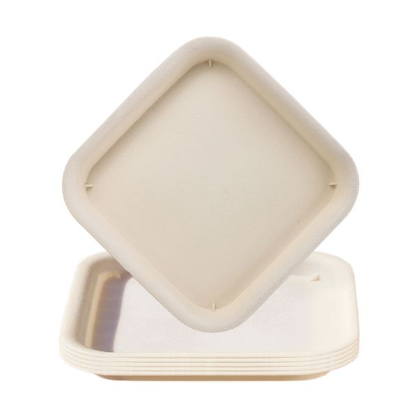 6 Pack Beige Square Resin Trays 22.5CM