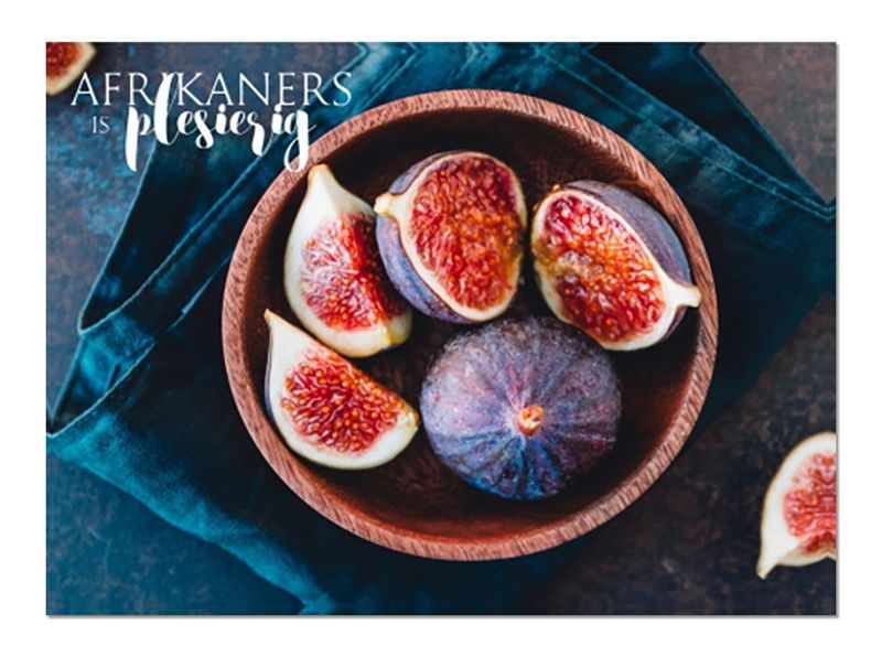 A3 Disposable Paper Placemat Set - Afrikaners is Plesierig