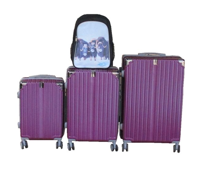 Purple 3-Piece ABS Spinner Luggage Set + Buffalo Backpack