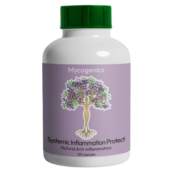 Systemic Inflammation Protect - Curcumin Boswellia Quercetin