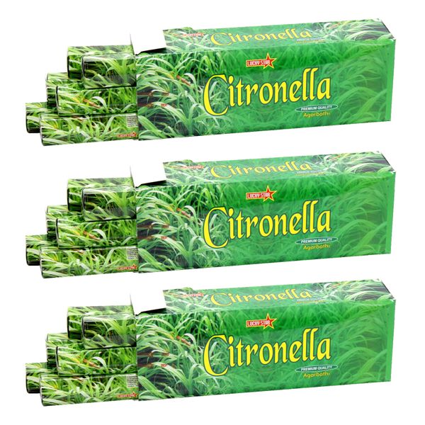 Incense Sticks - Citronella 9" Premium Quality Agarbatti - 360 Sticks