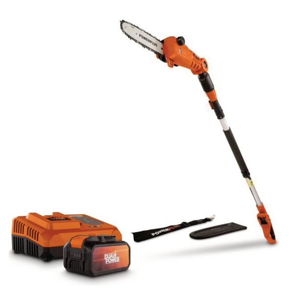 Dual Power - 40V Cordless Telescopic Chainsaw - 250mm Combo