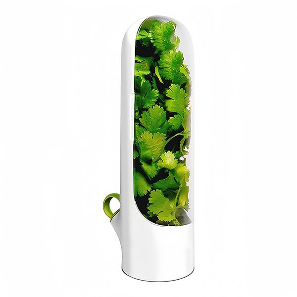 Herb Keeper Herb Storage Container Keeps Greens Fresh Herb Saver