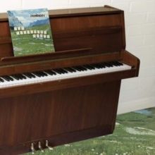 The Sophtware Slump... On a Wooden Piano (CD / Album)
