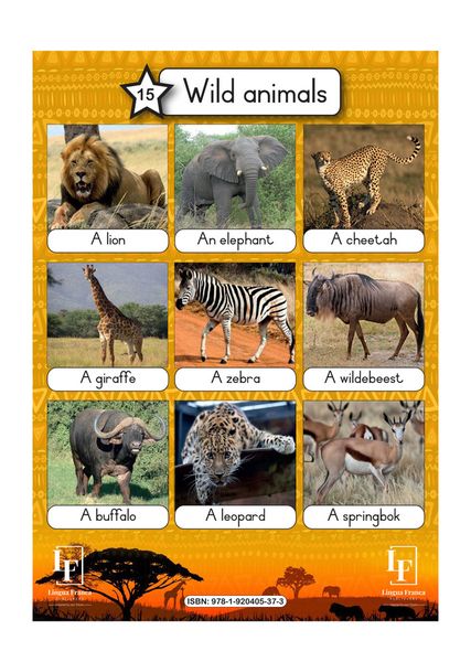 Wild Animals wall chart