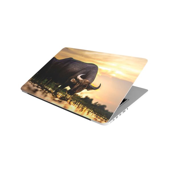 Laptop Skin/Sticker - Buffalo