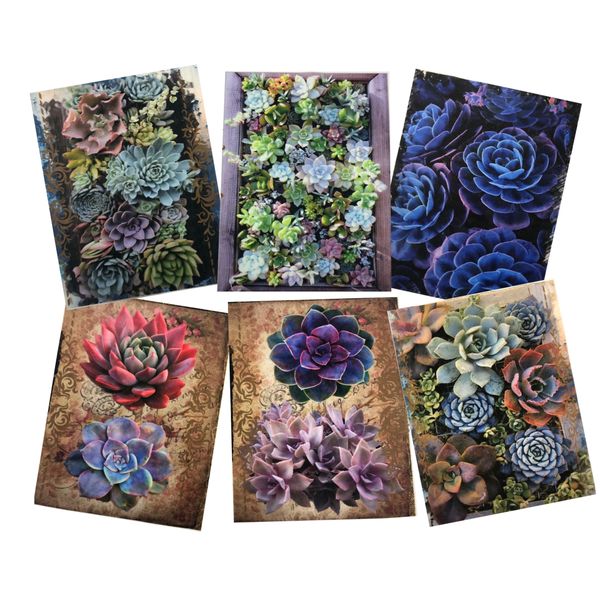 Decoupage Tear Resistant Transfers - Succulents