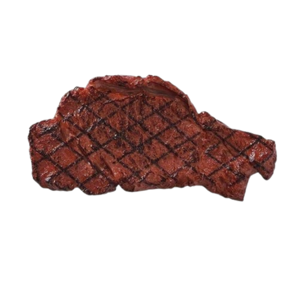 Fake Steak Toy