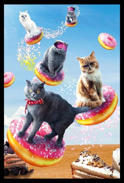 Random Galaxy - Cats Riding Donuts Poster with Black Frame