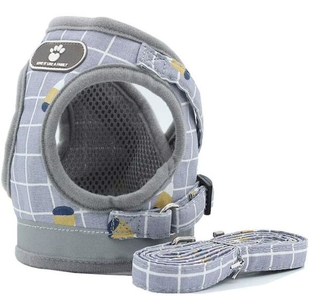 Harness Vest &amp; Leash for Small to Medium Dog - Grey Nut &amp; McDog Key Ring