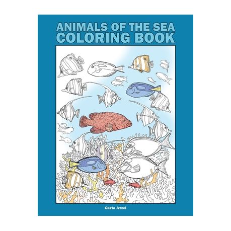 Animals Of The Sea Coloring Book 25 Realistic Coloring Pages On Marine Wildlife Buy Online In South Africa Takealot Com