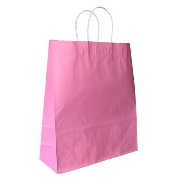 Kraft Paper Gift Bags (12 Pack) - Large A3 Plus