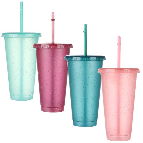 Home Travel Gift Reusable Mug Water Bottle Cup With Straw Set Of 4 (710ml)