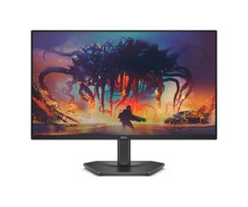 Dell 24