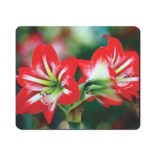 Mouse Pad - Red And White Flower