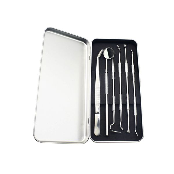 6 Piece Dental Tools Kit Teeth Cleaning Oral Care Kit