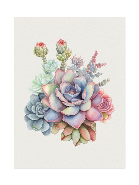 Wall Art: Watercolour Succulent Arrangement (Printed Poster)