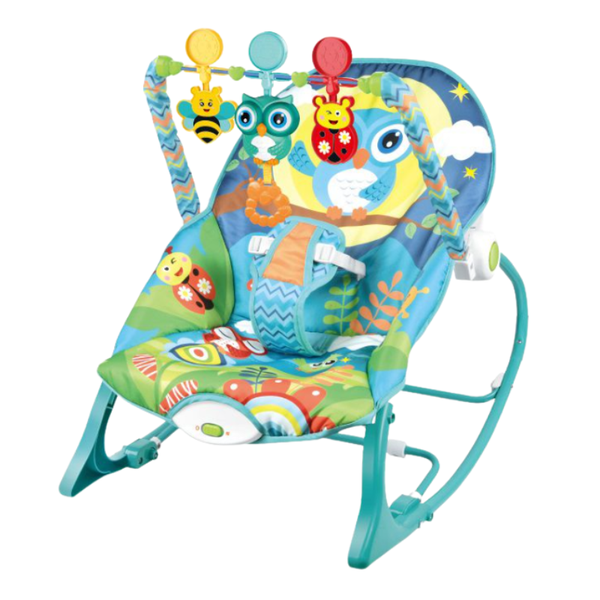 Baby Infant-to-Toddler Rocker
