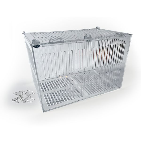 Fish Tank Acclimation Box