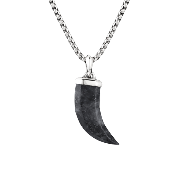 Dhia Black Labradorite Claw Mens Necklace