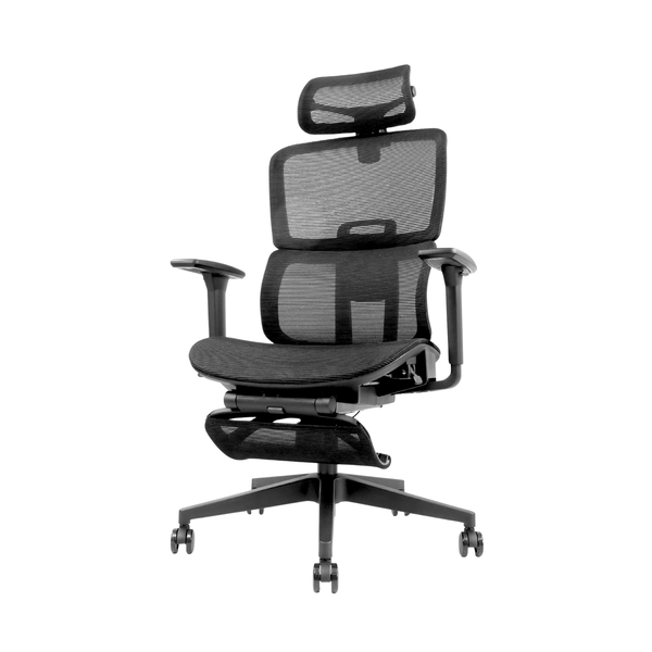 Hachi Executive Ergonomic Office Chair - Isisu Pro