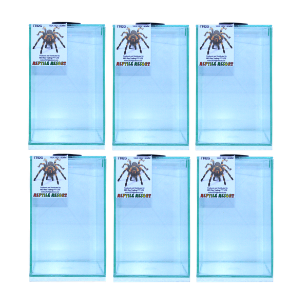 Reptile Resort TT02G Glass Spider Enclosures 100x100x150mm (6 Pack)