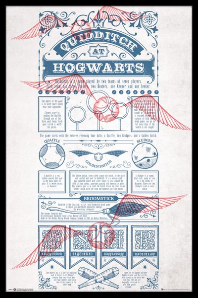 Harry Potter - Quidditch at Hogwarts Poster with Black Frame