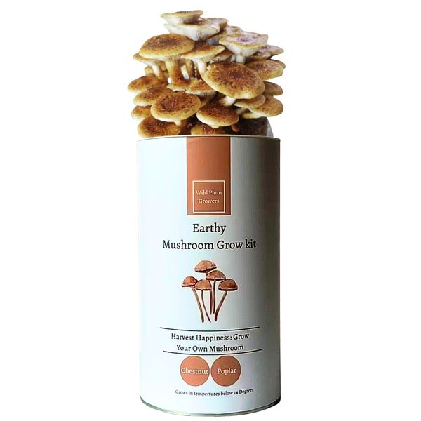 Wild Plum Growers Chestnut Mushroom Grow Kit