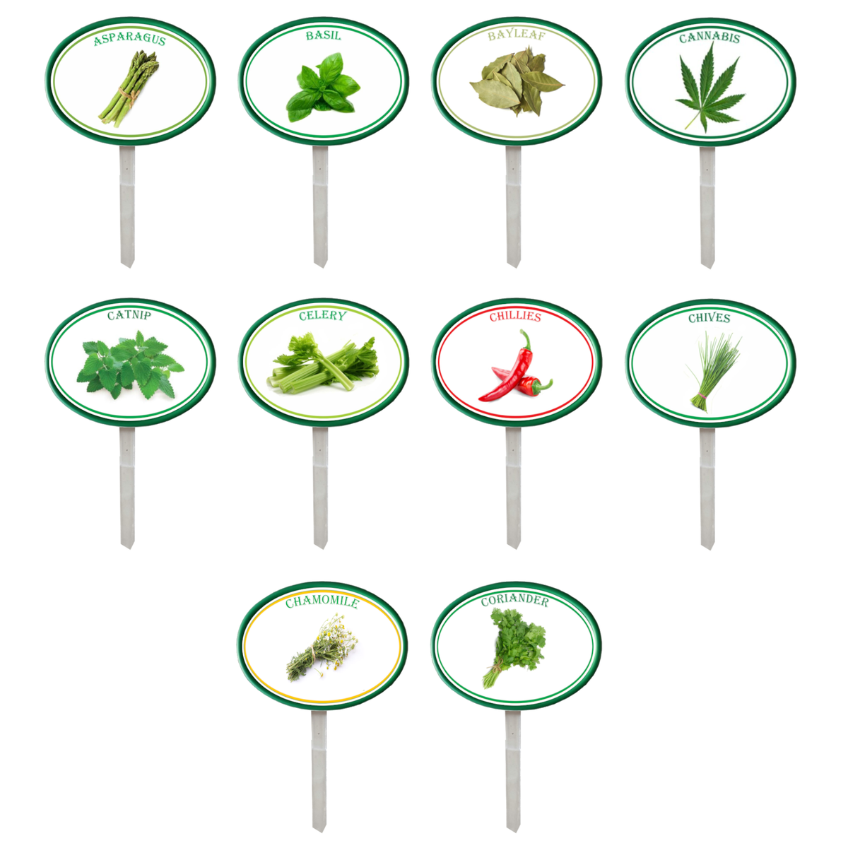 Garden pops herbs pack 1 set of 10 shop today get it tomorrow