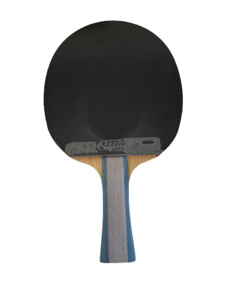 Professional Table Tennis Bat with Storage Bag