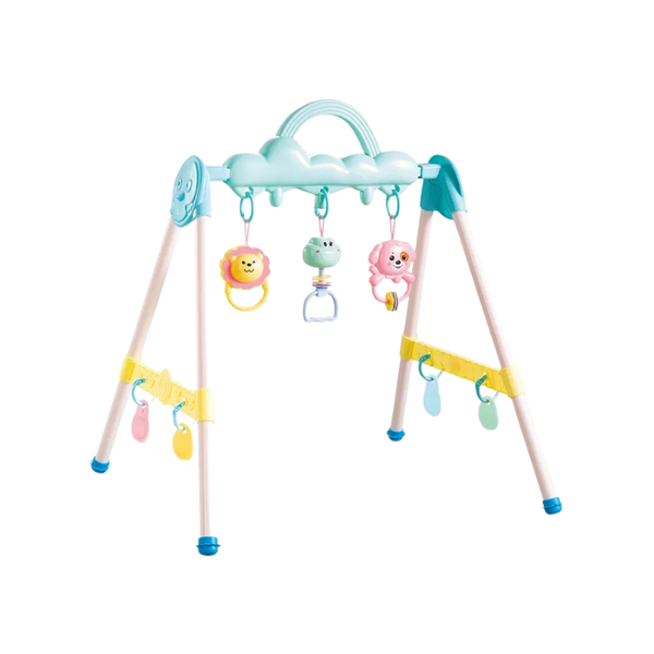 Baby Fitness Frame