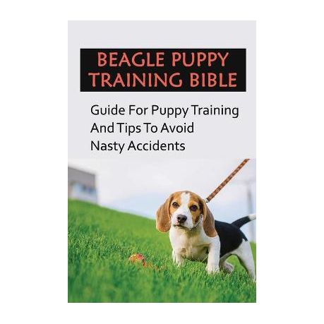 how do you punish a beagle