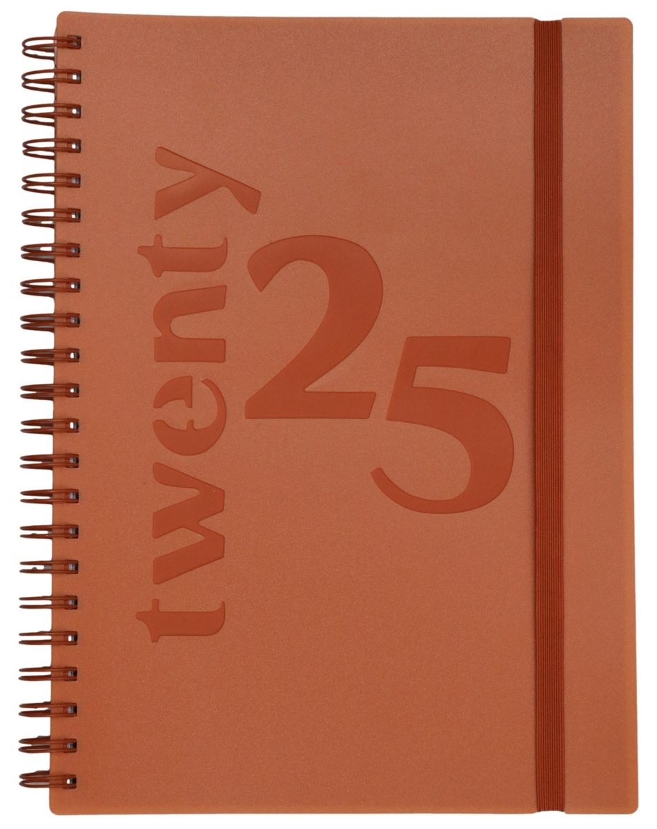 Top Sale A5 Day To Page 2025 Diary Soft PU Cover Black : Aazon.co.uk