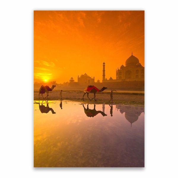 Taj Mahal Camel Sunset Poster - A1