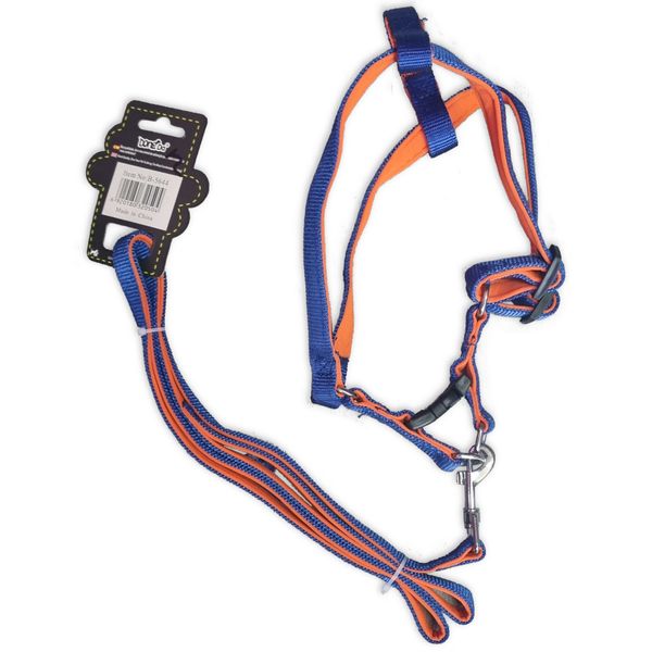 Combo Dog Lead &amp; Harness Medium